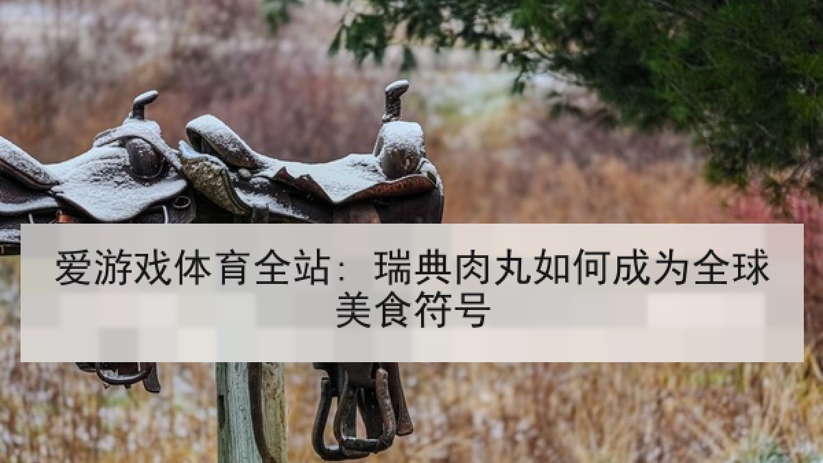 爱游戏体育全站: 瑞典肉丸如何成为全球美食符号
