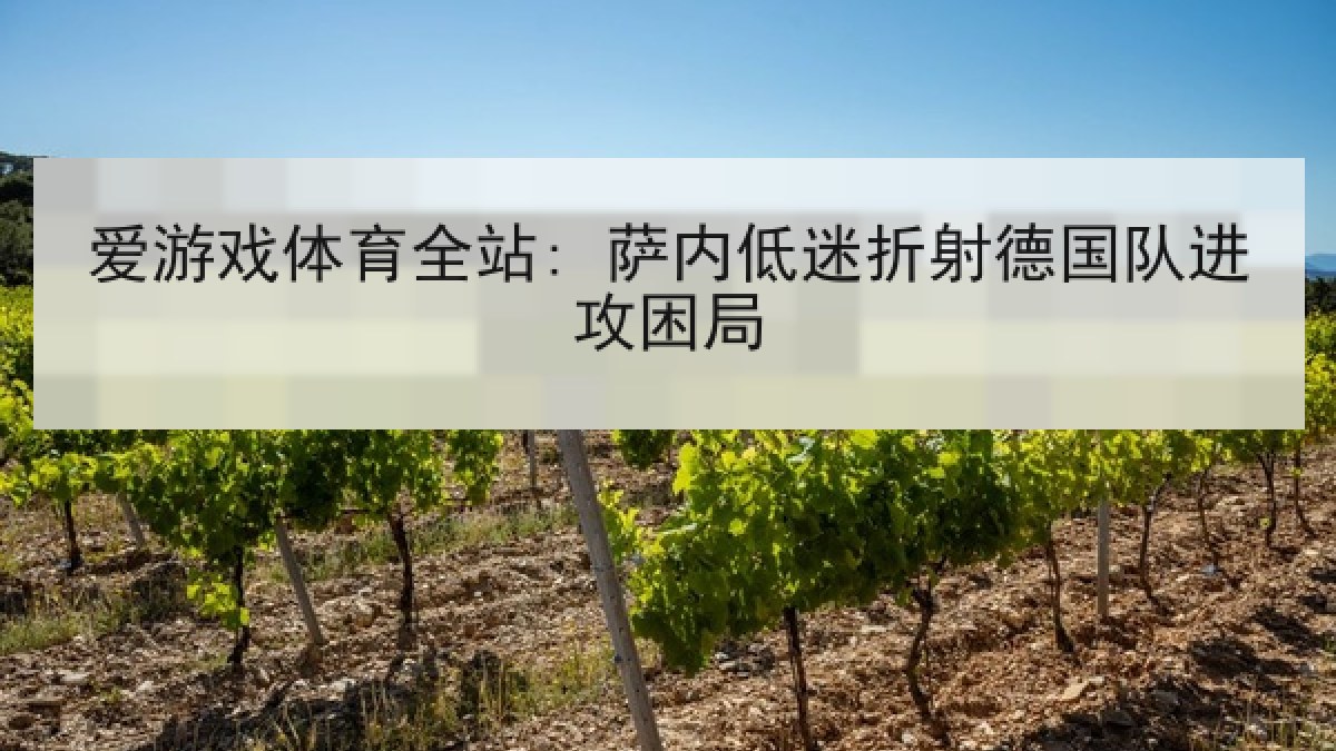 爱游戏体育全站: 萨内低迷折射德国队进攻困局